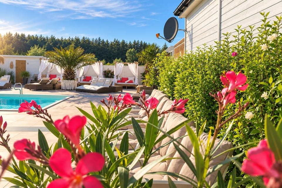 Pool view, Swimming pool, sunbed