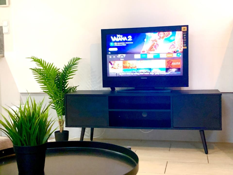 TV and multimedia