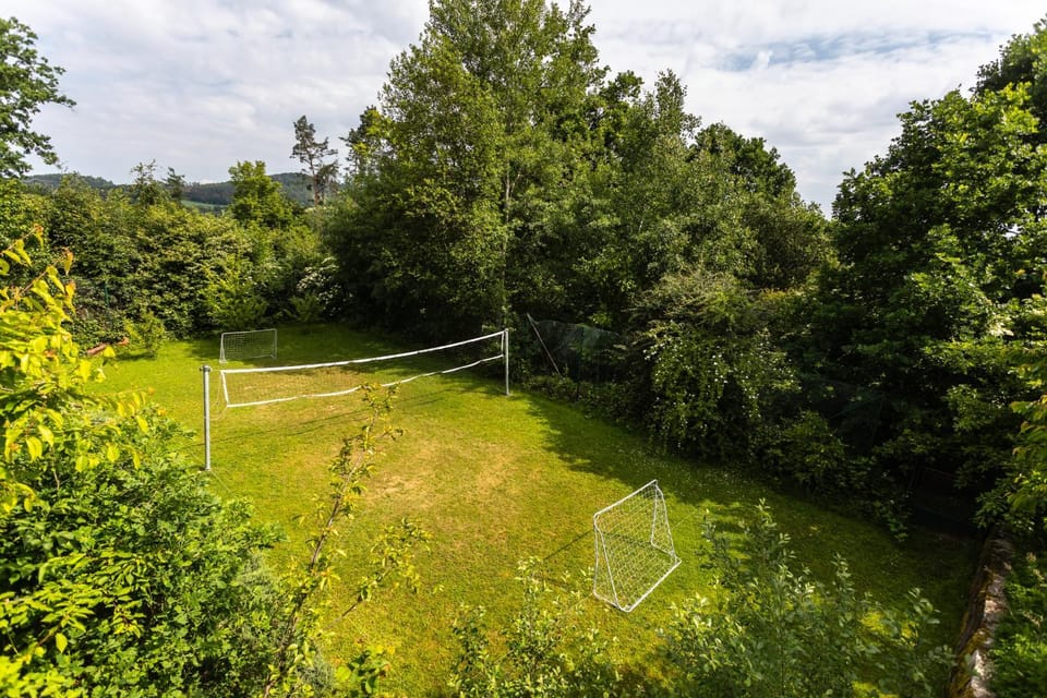 Spring, Day, Natural landscape, Garden, Tennis court