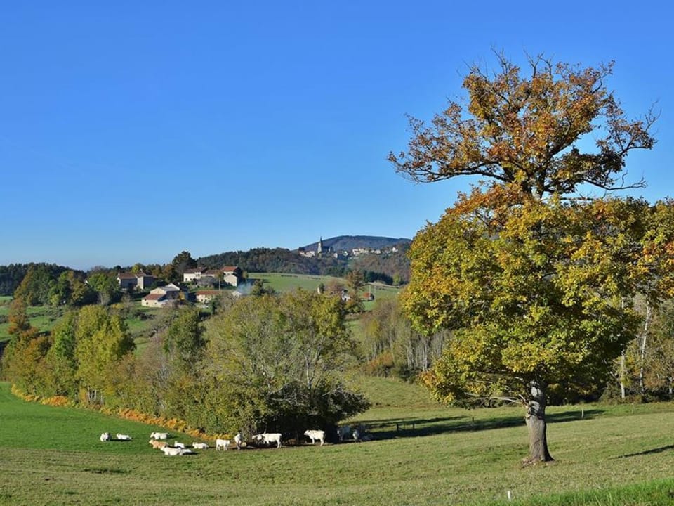 Gîte pour 14 pers à La Chabanne avec WiFi et animaux admis - FR-1-489-340 House in Auvergne-Rhône-Alpes