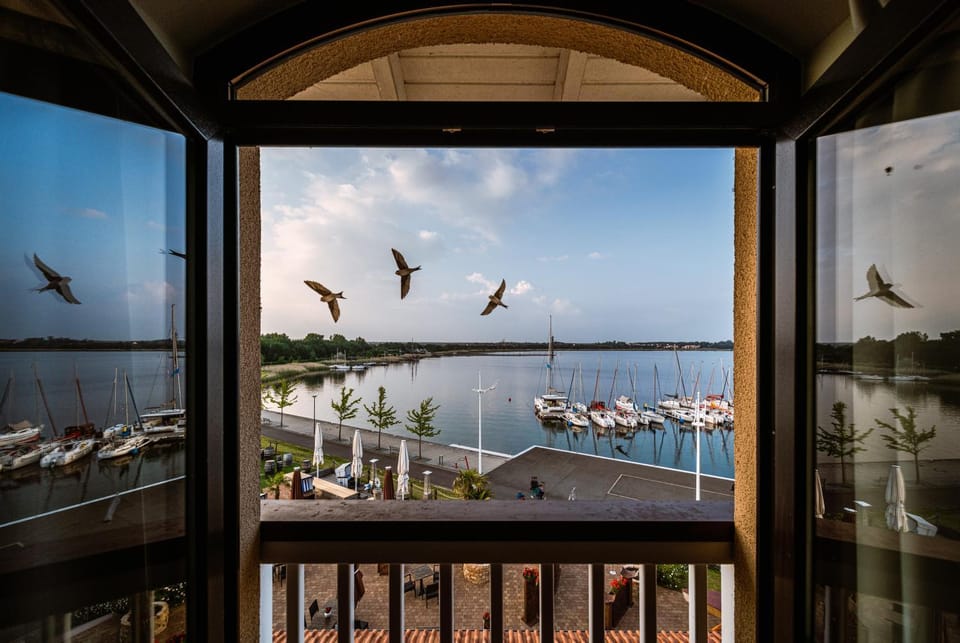 Lake view
