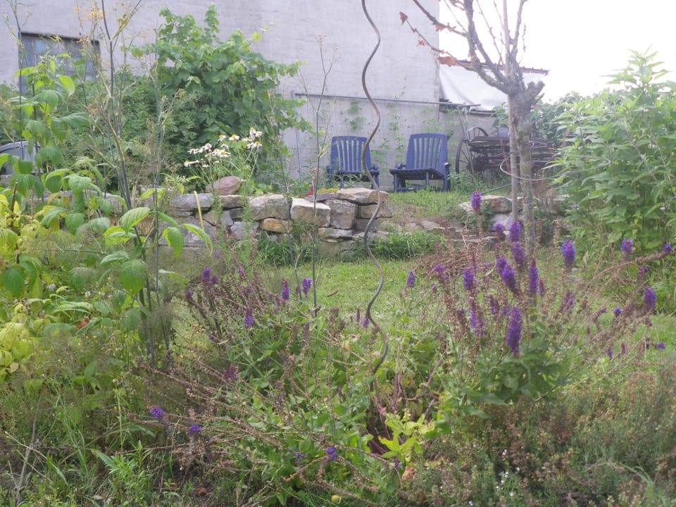 Garden, Garden view