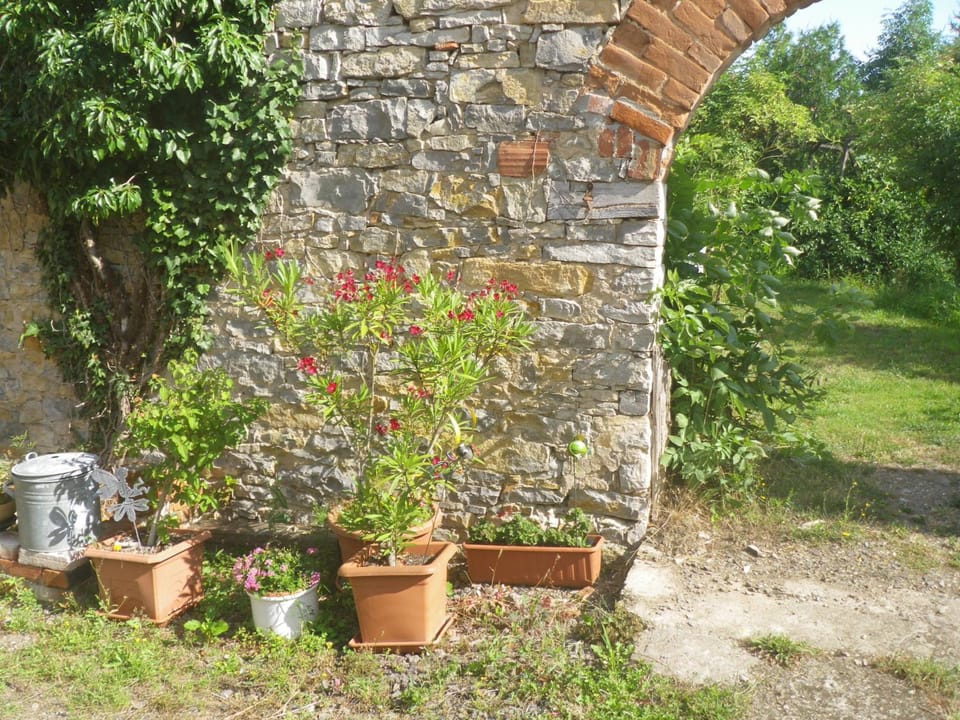 Day, Garden