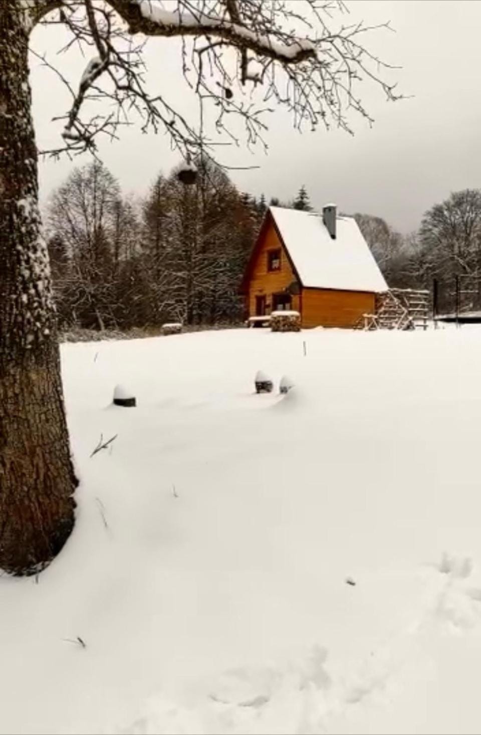 Dwernik Bukowina Bieszczady Chalet in Poland