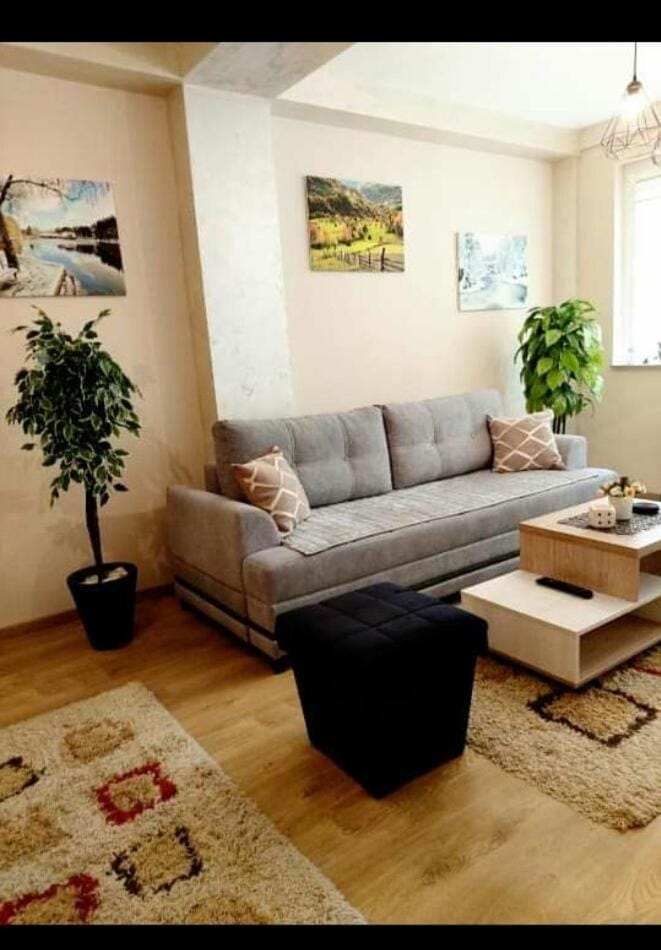 APARTMAN SONJA Apartment in Zlatibor