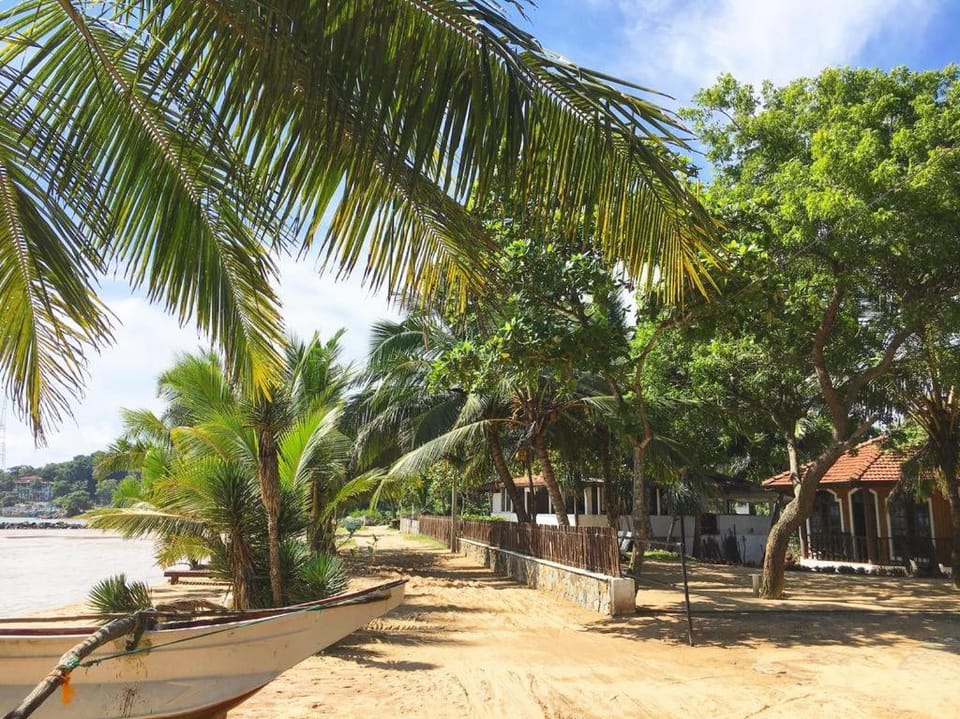 Garden, Beach