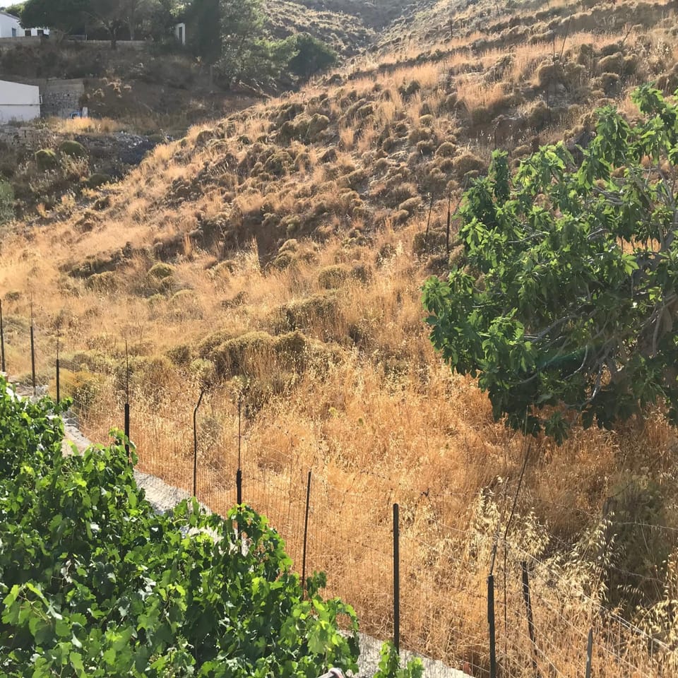 Sevasti Studios Eborios Kalymnos Apartment in Kalymnos