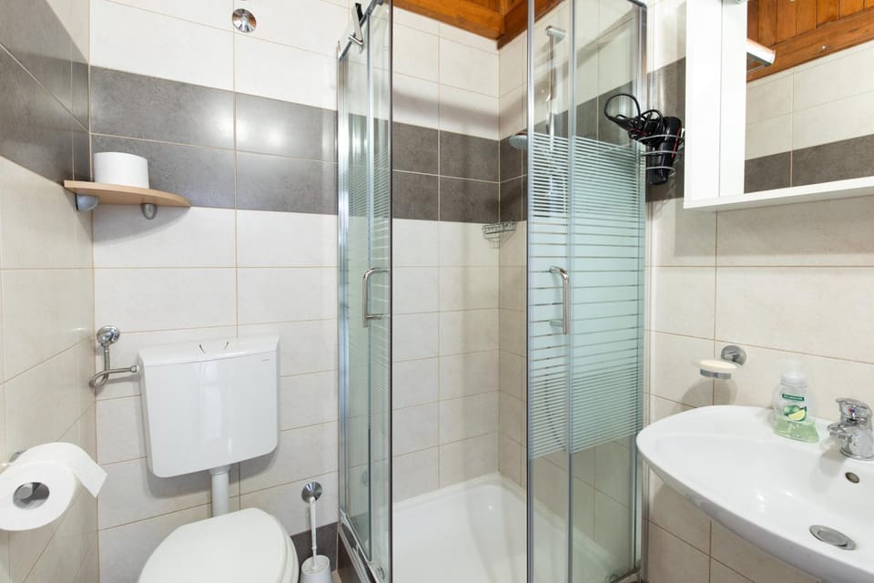 Shower, Toilet, Bathroom, hair dryier