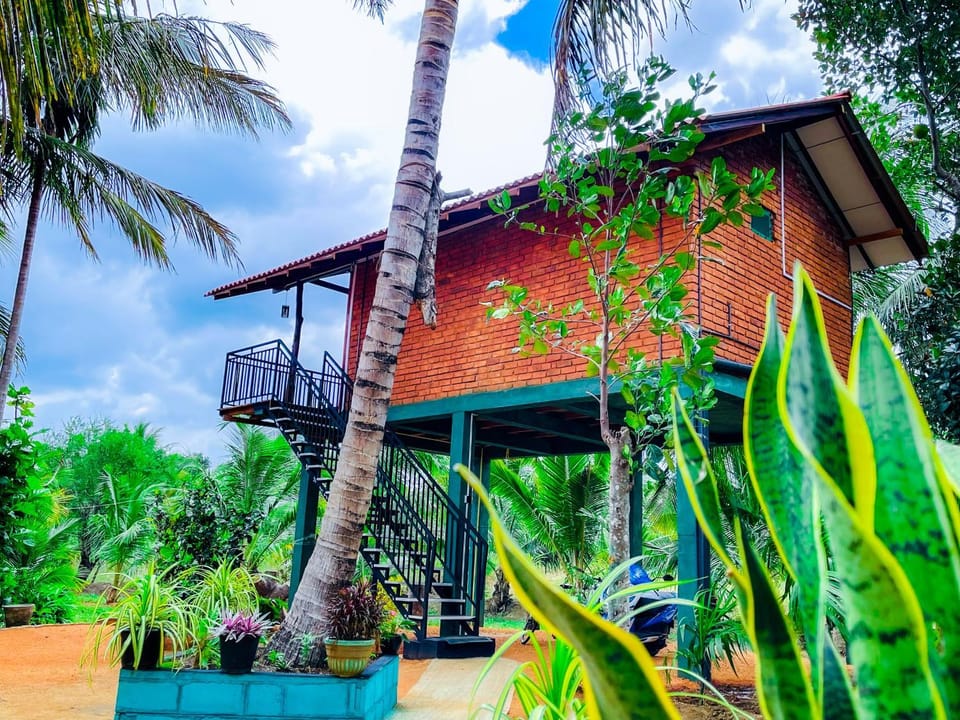 Property building, Patio, Day, Natural landscape, Garden, Garden view