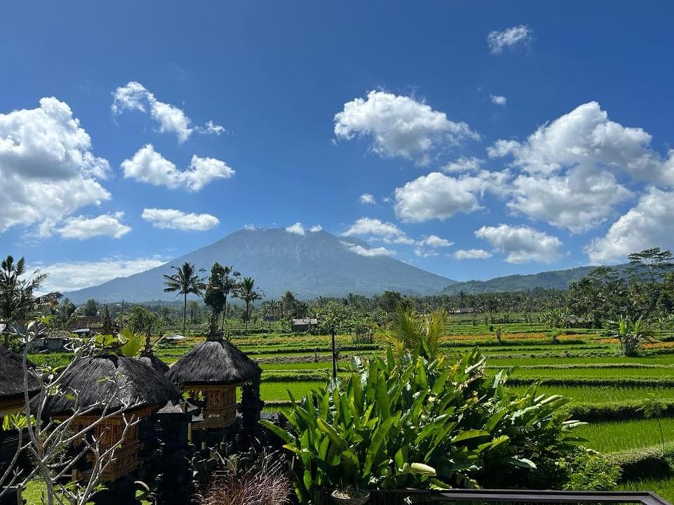 Jero Tumbuk Private Villa Villa in Selat