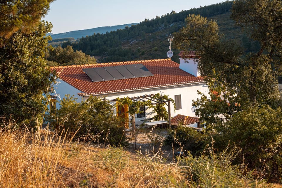 Property building, Natural landscape