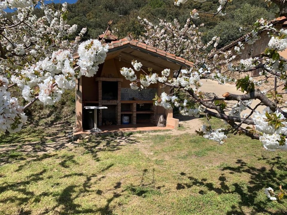 Casa Rural Canchal Madroñeras *** House in Valle del Jerte