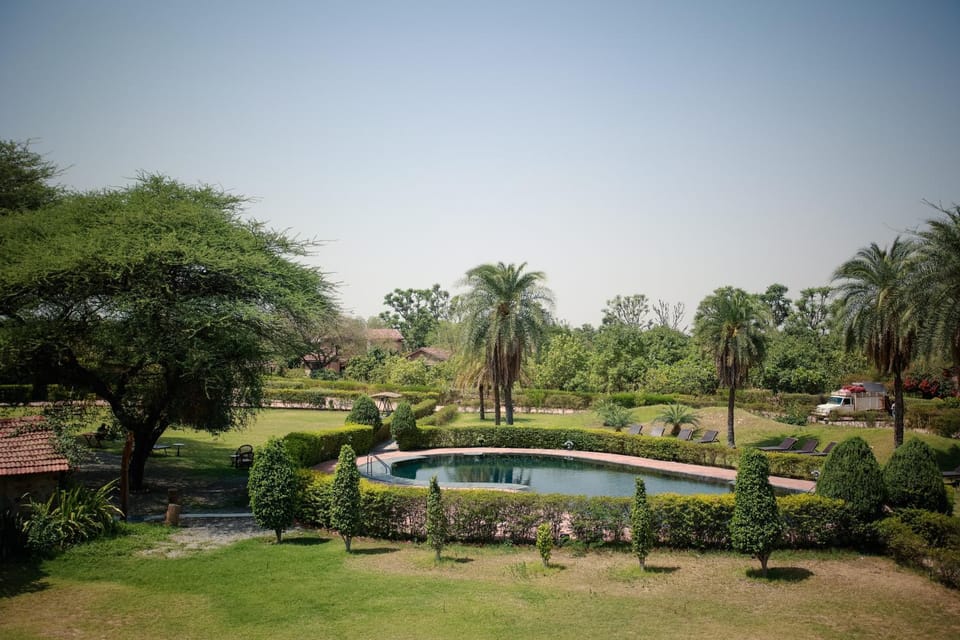 Garden view, Pool view, Swimming pool, Swimming pool