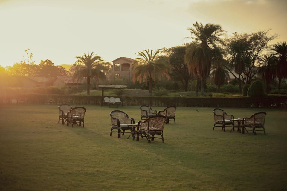 Garden view, Sunset