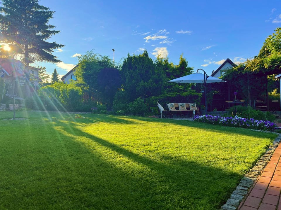 Day, Garden, On site, Area and facilities, Location, Sunset