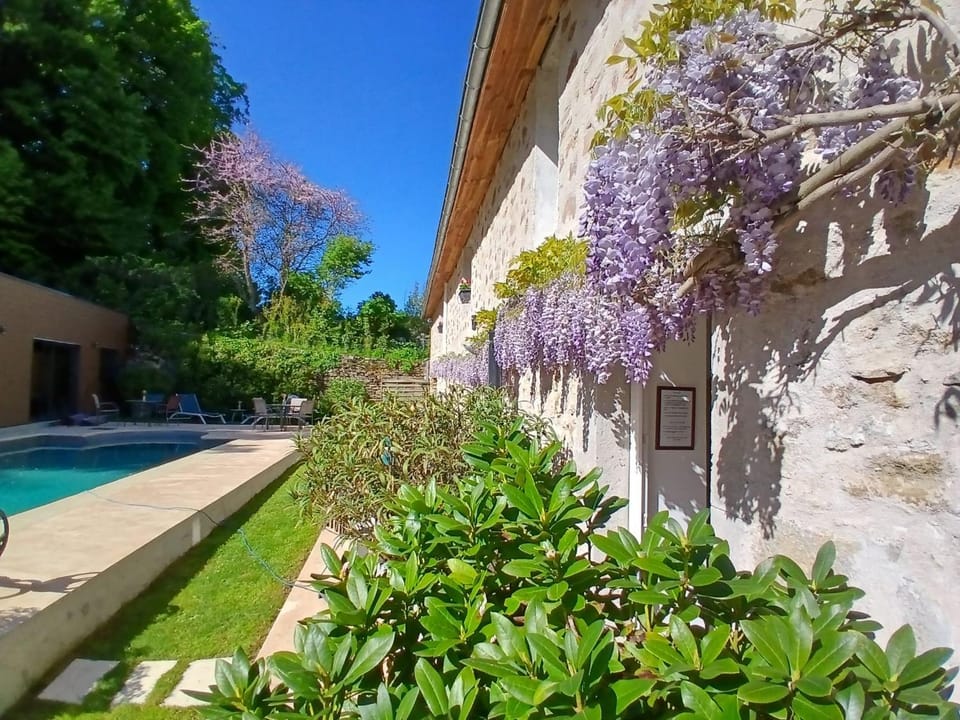 Garden, Swimming pool