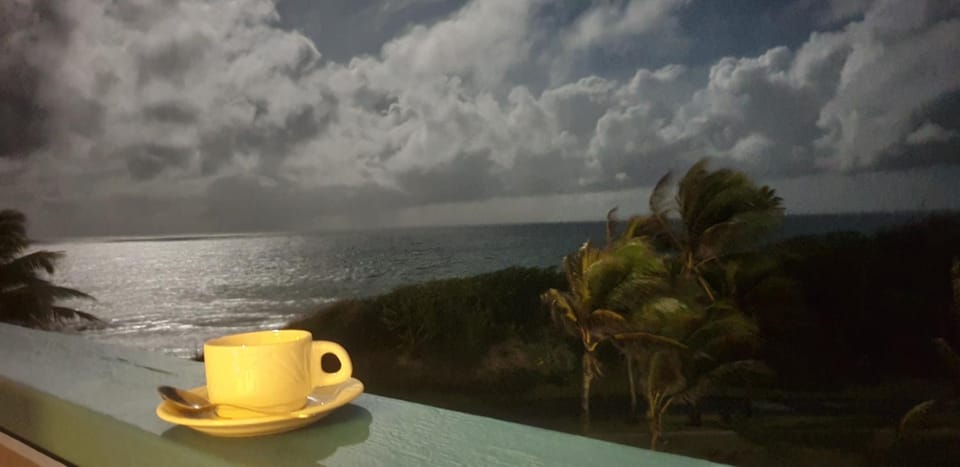 Natural landscape, View (from property/room), Balcony/Terrace, Sea view