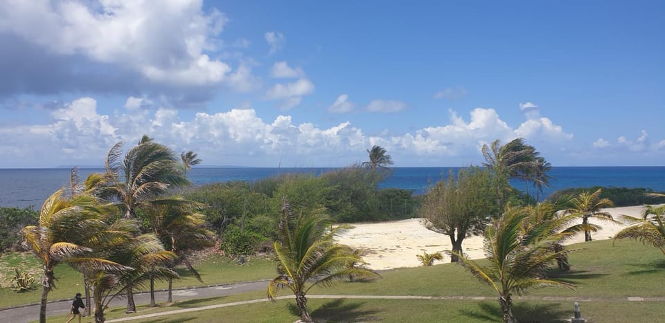 Natural landscape, Sea view