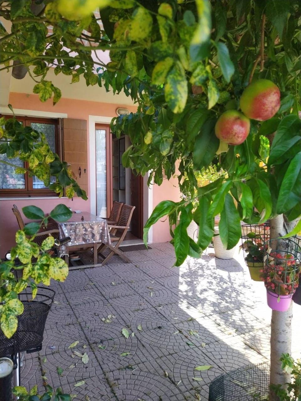 Garden view