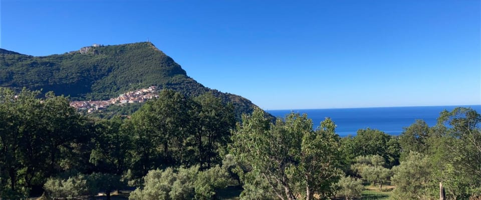 Affittacamere L’ Agrumeto Bed and Breakfast in Basilicata