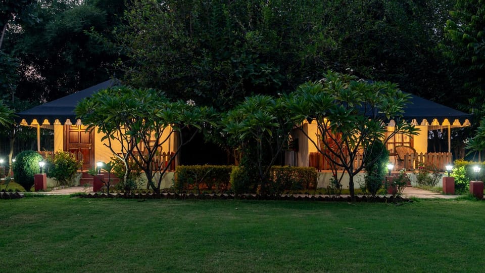 Jungle Cave Resort Luxury tent in Rajasthan