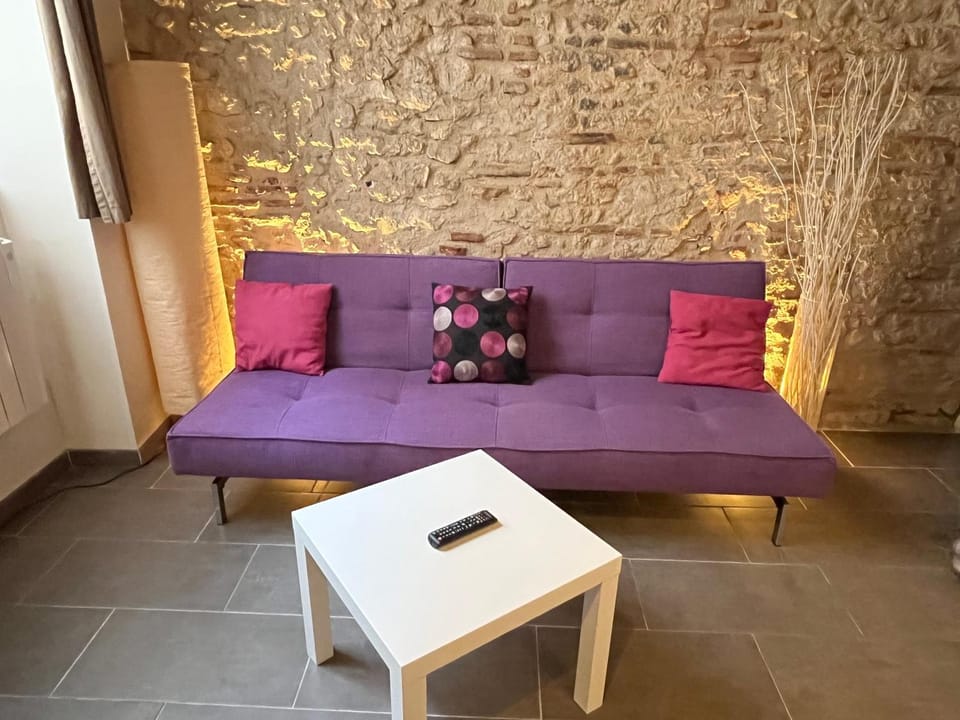 Duplex de charme Orléans hypercentre Cathédrale-Parking possible Apartment in Orléans