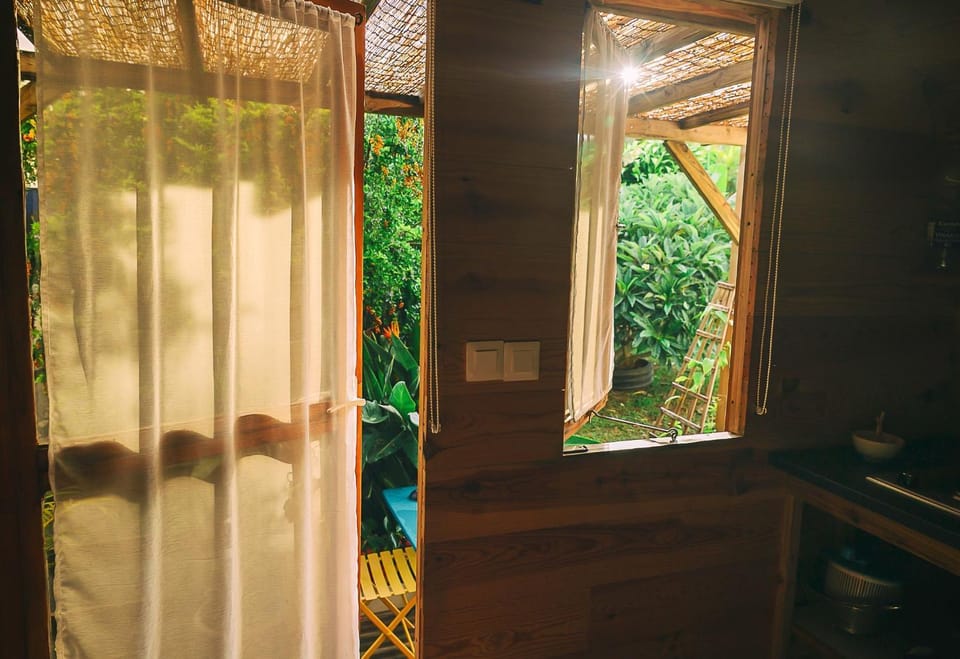 Kitchen or kitchenette, Garden view