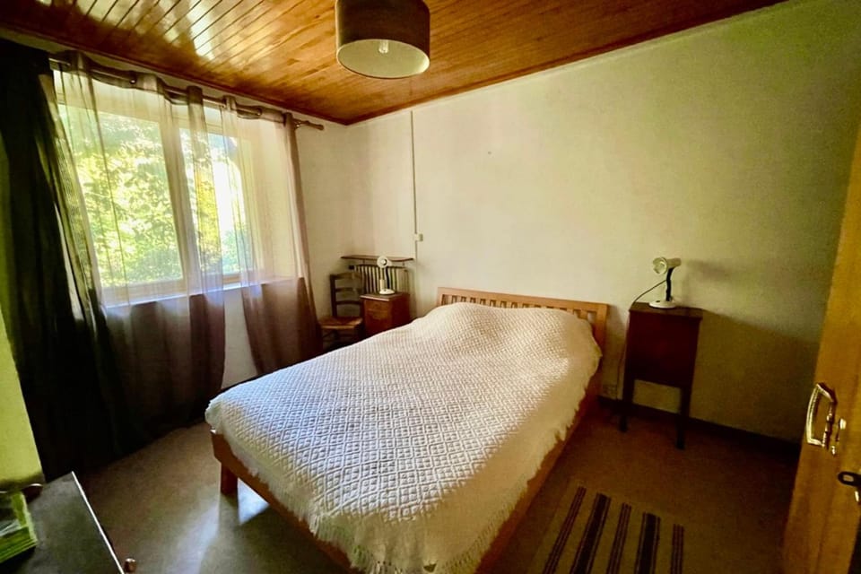 Nice Chalet With View On The Mountain Apartment in Saint-Chaffrey