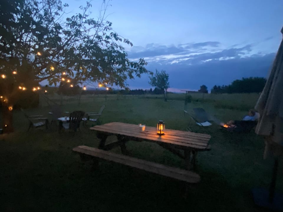 Night, Natural landscape, Garden, Garden view