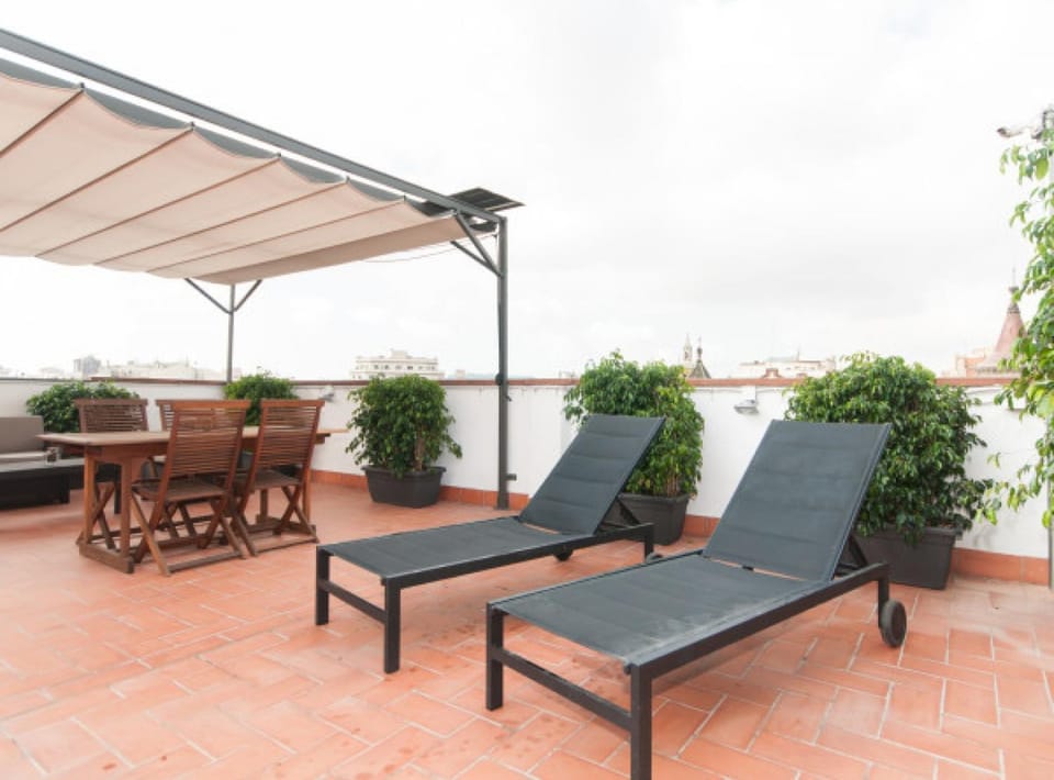 Balcony/Terrace, sunbed