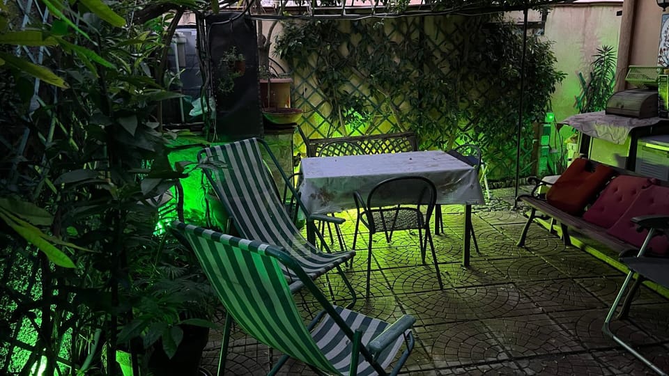Garden