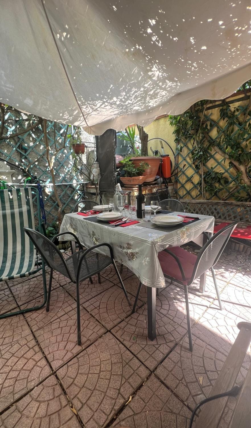 Garden
