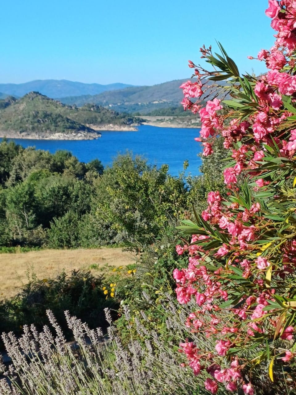 Nearby landmark, Summer, Mountain view, River view, Sea view