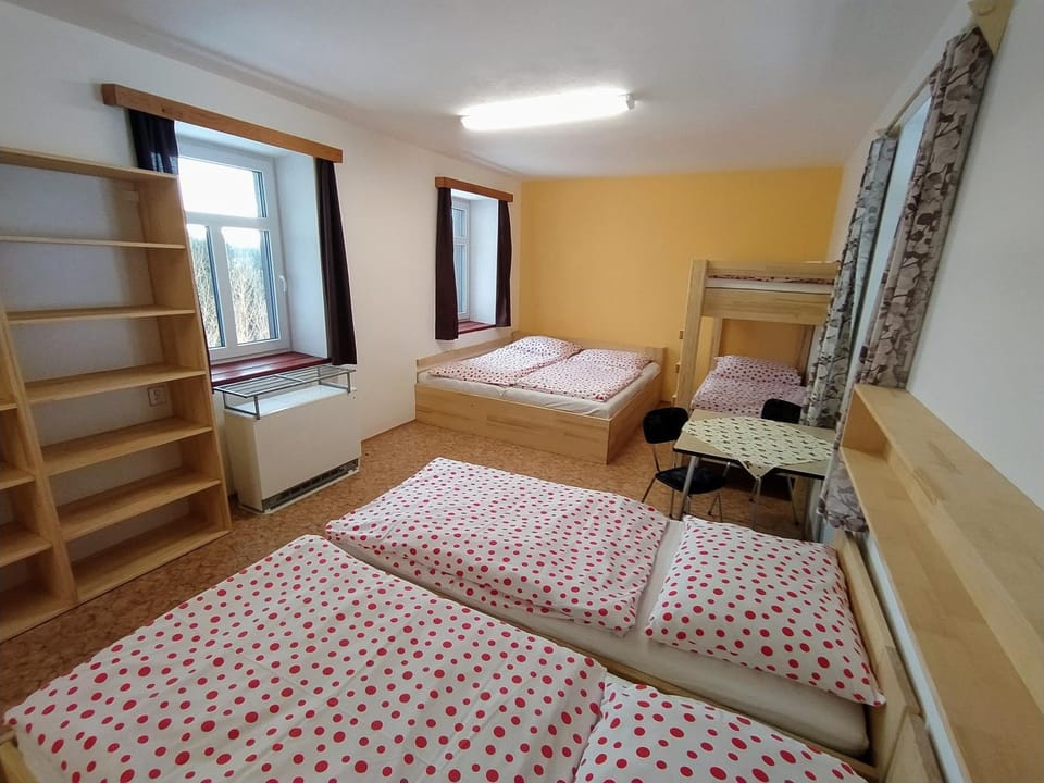 Bed, Photo of the whole room, Bedroom, bunk bed