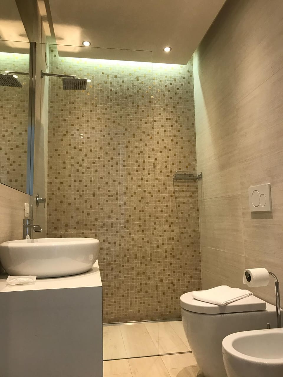 Shower, Toilet, Bathroom, bidet