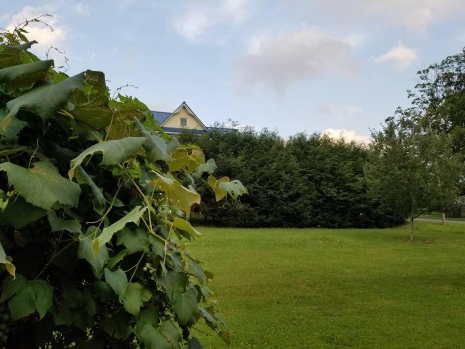 BaseCampWV-Durbin. Spacious 4 bedroom house w/yard House in Shenandoah Valley
