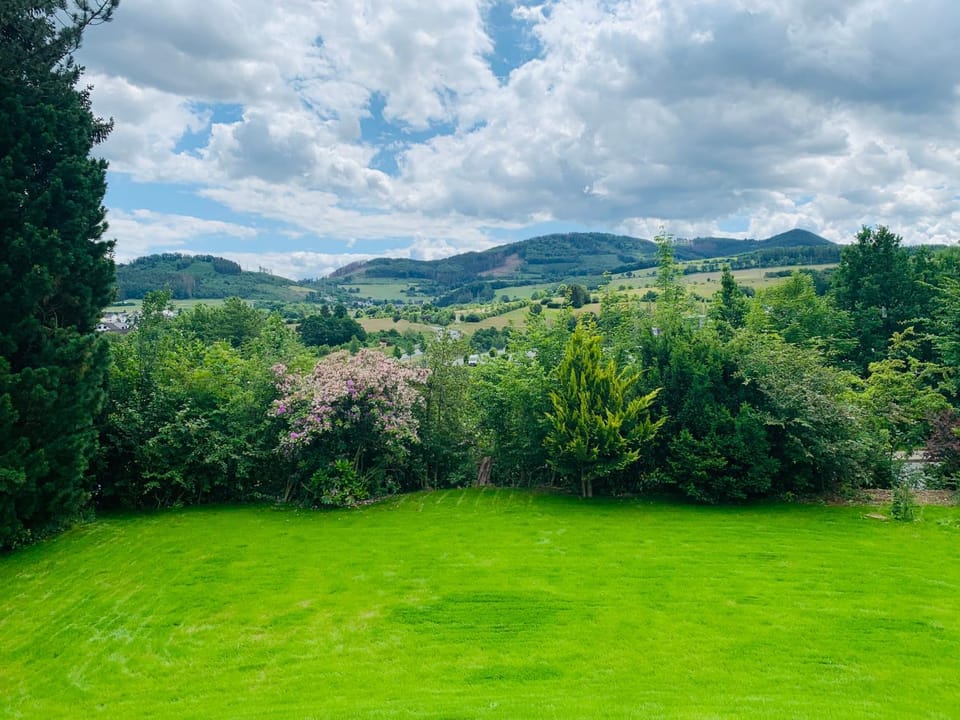Garden view