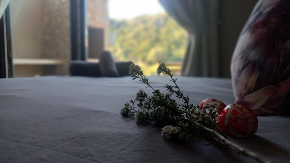 Fijnbosch Game Lodge Jeffreys Bay Bed and Breakfast in Eastern Cape