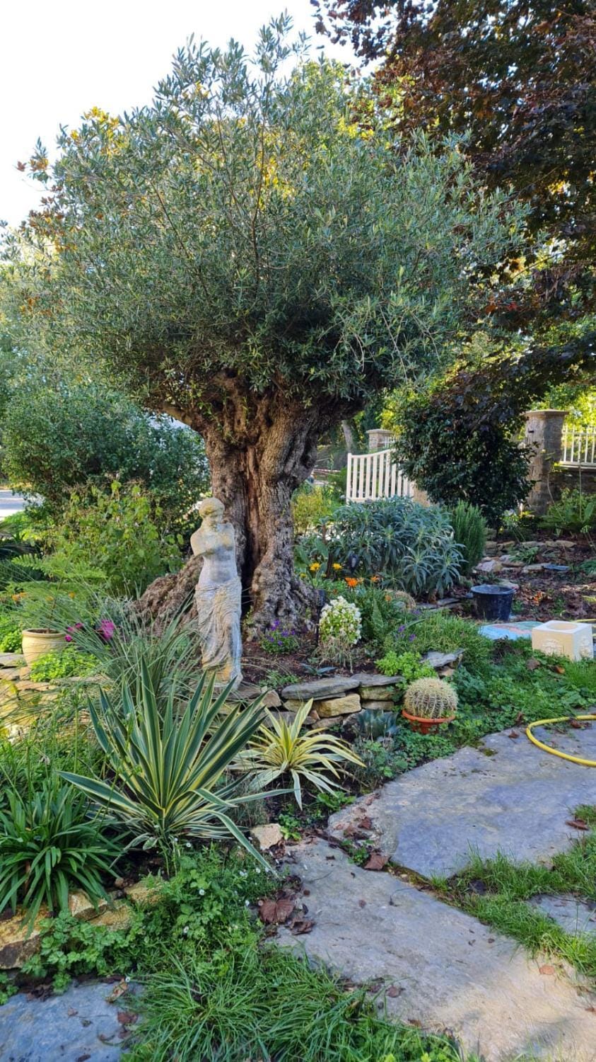 La Villa Saint Martin Bed and Breakfast in Brittany