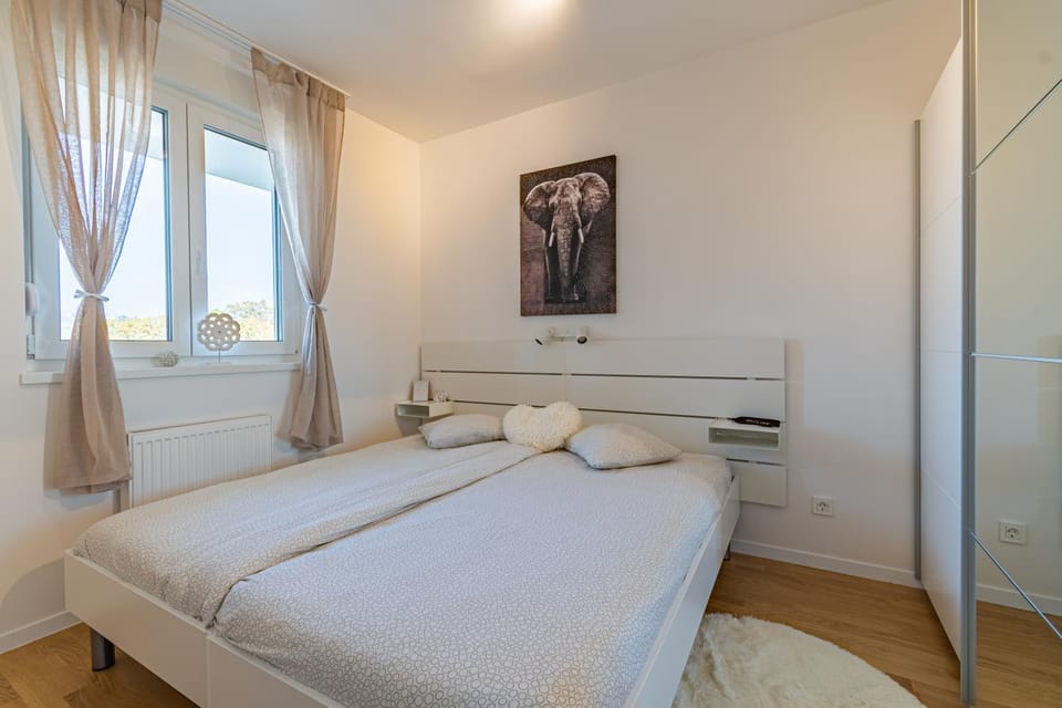 Bed, Photo of the whole room, Bedroom, internet, wardrobe