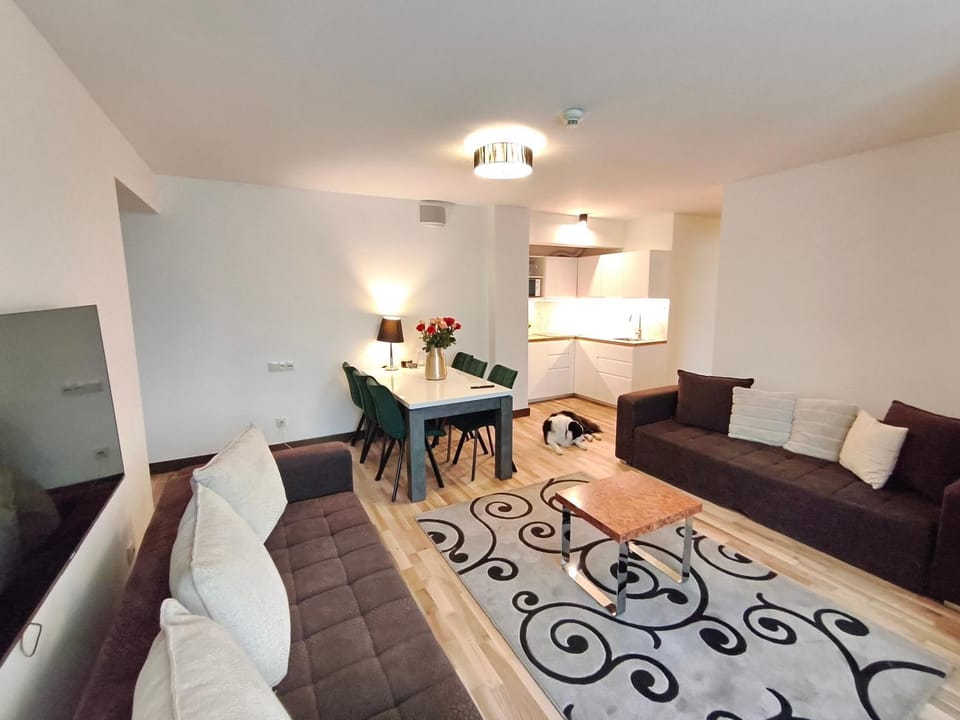 116 Duży Apartament rodzinny z aneksem kuchennym 200 m od morza jacuzzi i sauny w obiekcie Apartment in West Pomeranian Voivodeship, Poland