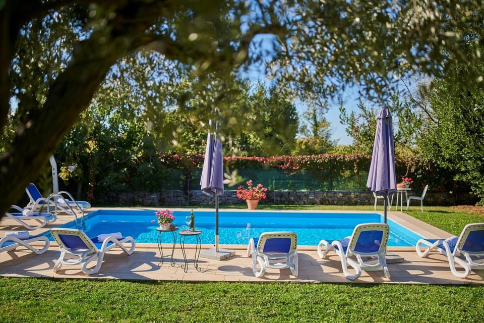 Property building, Garden, Seating area, Swimming pool