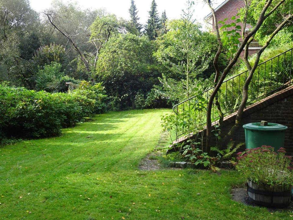 Garden, Garden, Garden view