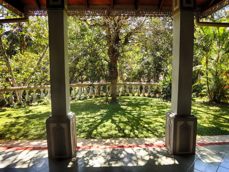 Garden view