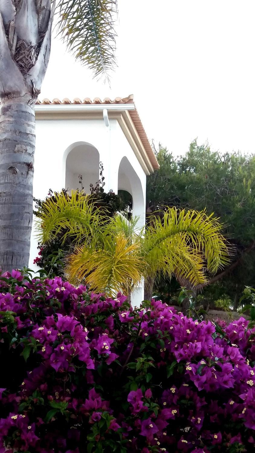 Property building, Garden