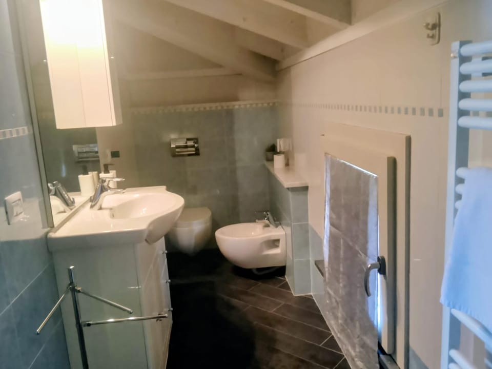 Shower, Toilet, Bathroom, bidet, hair dryier, towels