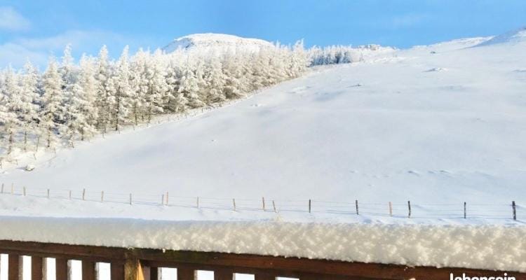 SUPER-BESSE Charmant T2 avec Piscine chauffée & Parking couvert Apartment in Besse-et-Saint-Anastaise