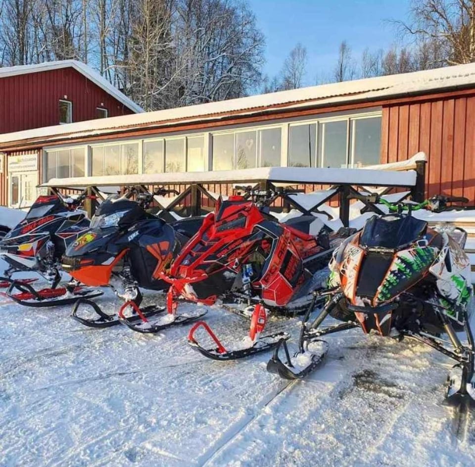 Winter, group of guests