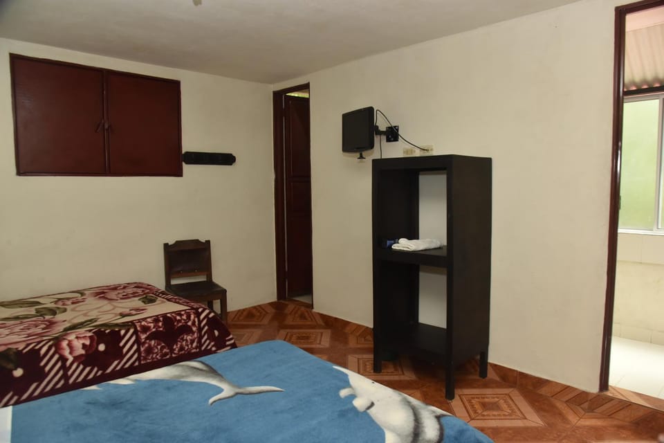 Bed, TV and multimedia, Photo of the whole room