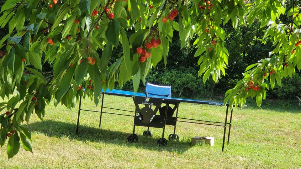 Baberius House in Serbia